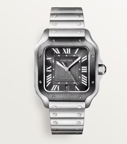 Cartier Santos - Thumbnail 1 (Primary)